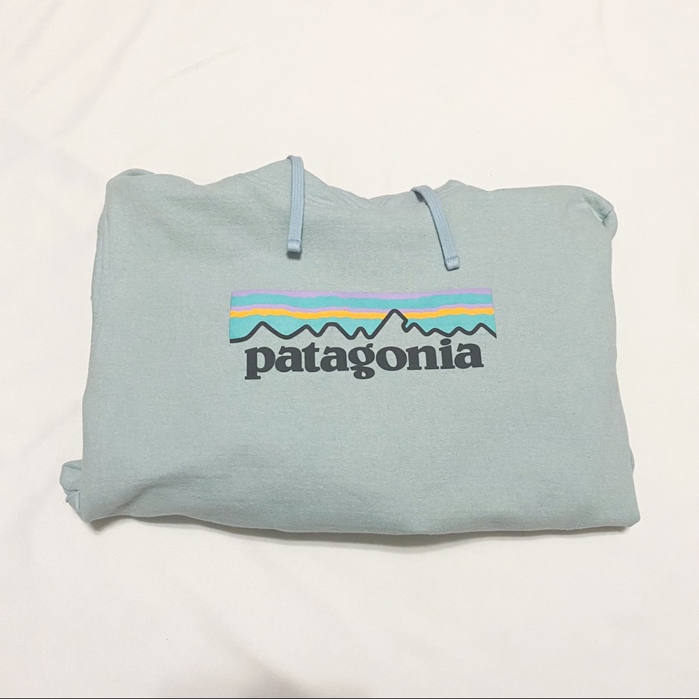 Patagonia Light Blue Logo Hoodie